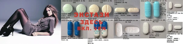 гашик Костерёво