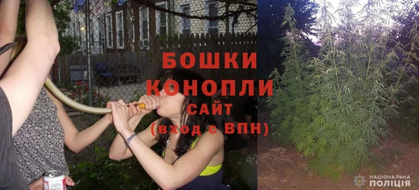гашик Костерёво