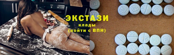 гашик Костерёво