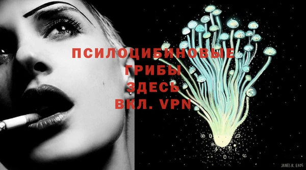гашик Костерёво