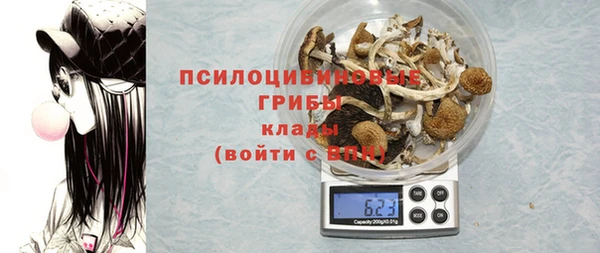 ПСИЛОЦИБИНОВЫЕ ГРИБЫ Коряжма
