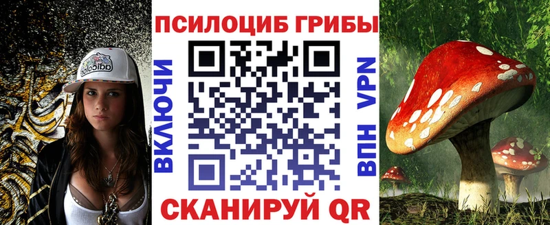 Псилоцибиновые грибы MAGIC MUSHROOMS  мориарти наркотические препараты  Чудово 