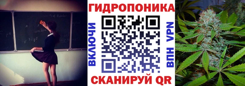 Бошки марихуана планчик Чудово